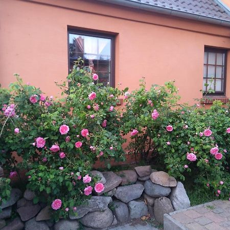 Dorfidyll Wendisch Priborn Apartment Luaran gambar