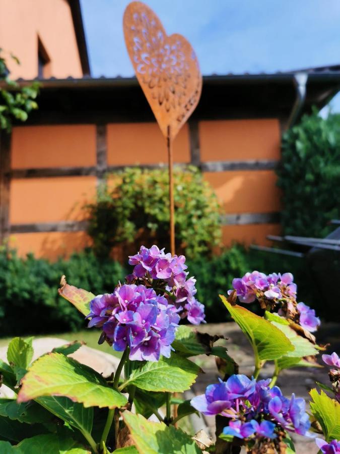 Dorfidyll Wendisch Priborn Apartment Luaran gambar